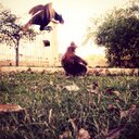 Fleur Porter - @FleurSPorter - Twitter