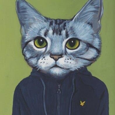 Шутки , афоризмы , цитаты .  Кот-блогер.