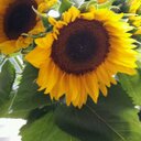 creacion - @JanPhoenix1 - Twitter