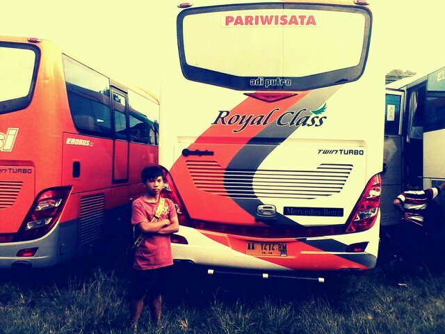 AlfanEfisiensi's profile picture. 