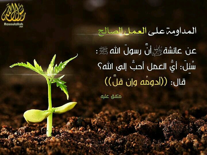 صلاة الفجر يشتكي عبدالله بواكي تويتر