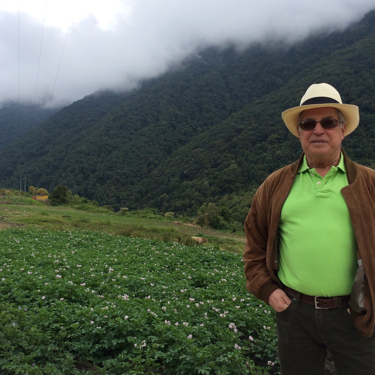 Carloseav02's profile picture. 