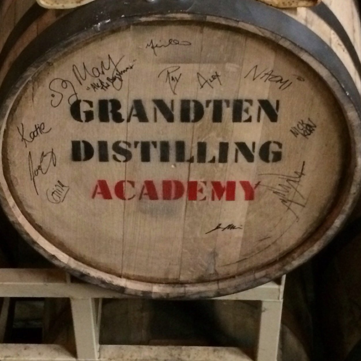 DottieTheBarrel's profile picture. 