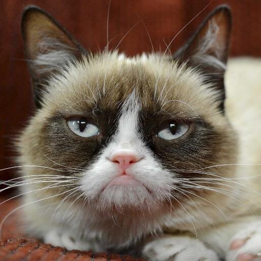 Reactions to Melbourne politics & media.