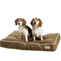 dofahn (@dofahn) 's Twitter Profile