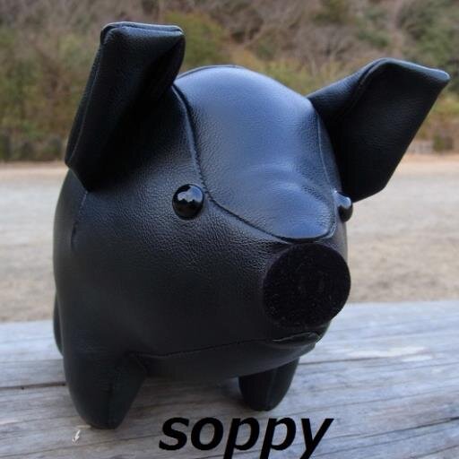 gogo_soppy's profile picture. 2014年　自転車日本一周(完)　　今は旅人に絡んだり適当なツイートしてます
佐賀の人です