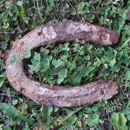 1JeuConcours's profile picture. Les derniers jeux, concours, bons plans ! Suivez moi je vous passe tous les liens ! #concours #jeuxconcours