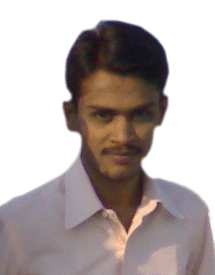Journalist