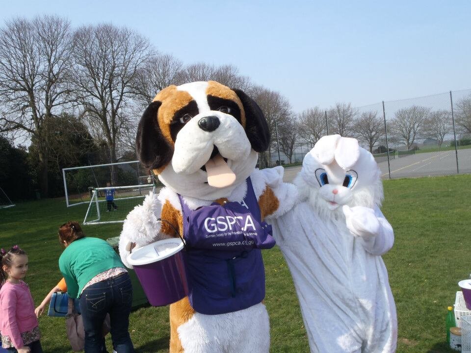Woof woof, I'm the @GSPCA Official Mascot Dog. See me wagging my tail around Guernsey at many events helping fund raise for the Animal Shelter in St Andrews