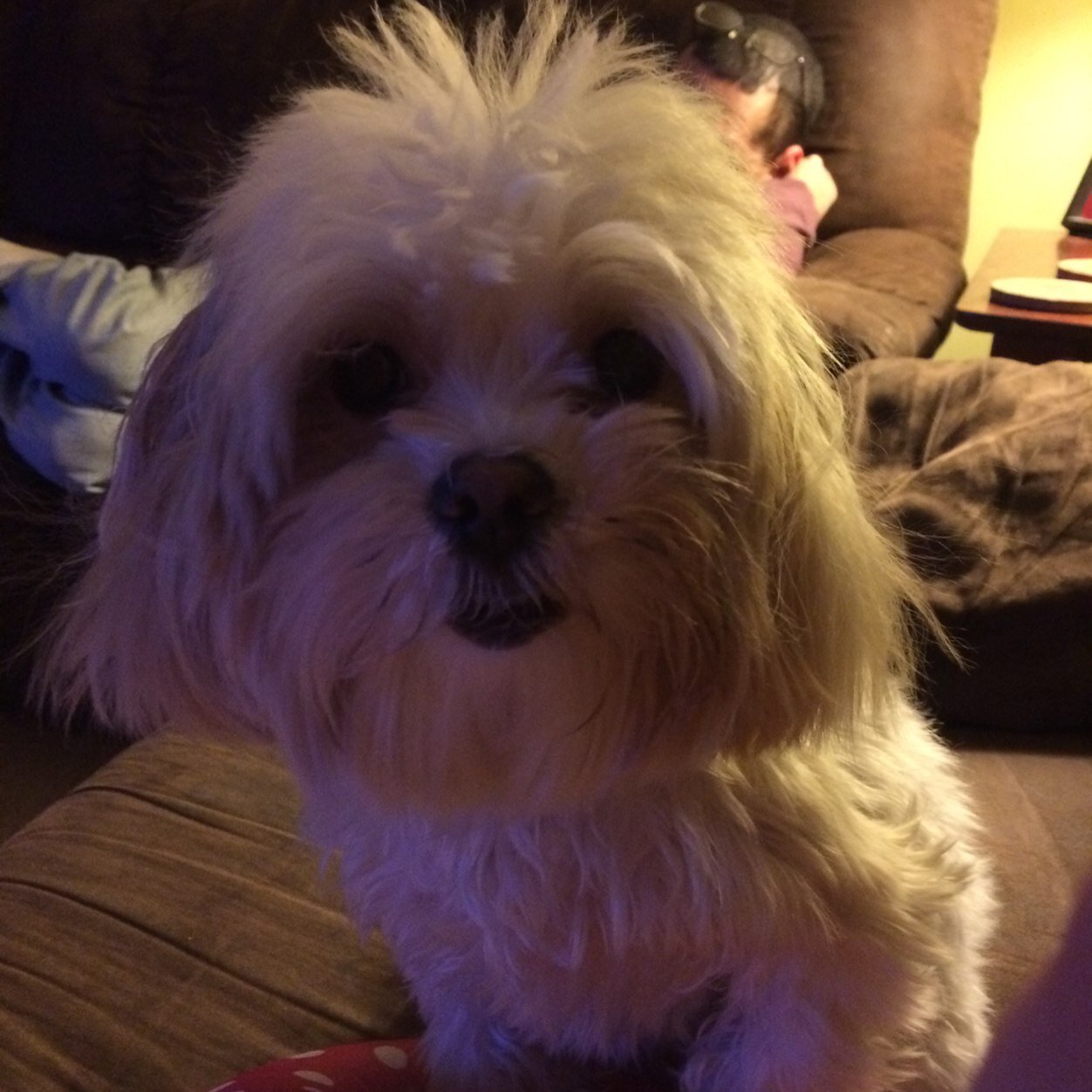 ColleenTcec73's profile picture. 