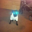 Daniel huck - @DanielHucky - Twitter