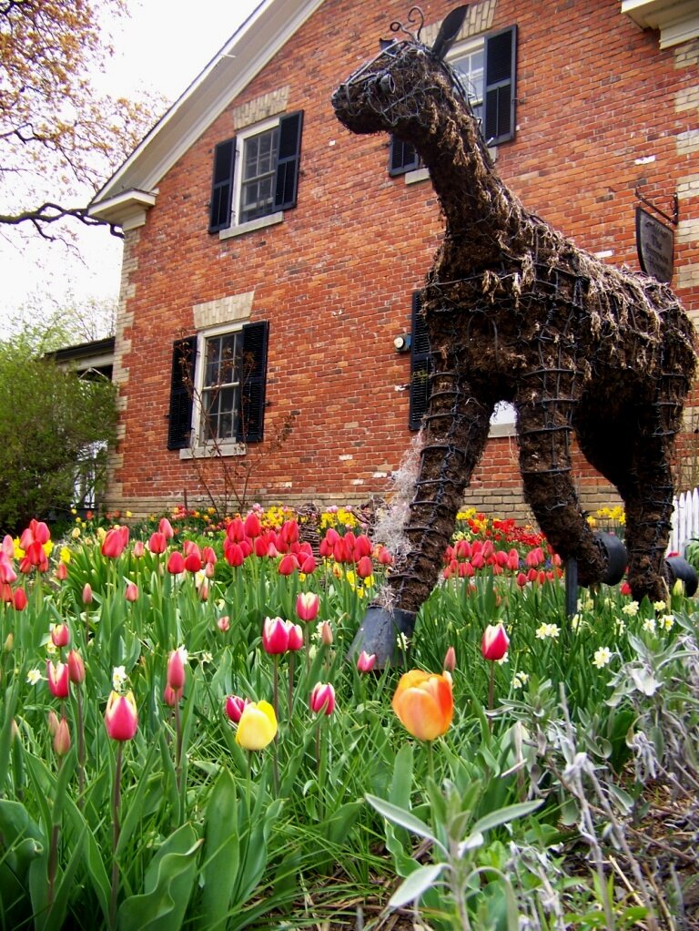 Riverdale Farm is Toronto's Oasis in the City located at 201 Winchester Street in Cabbagetown.  Come and visit!  Open all year round from 9 am - 5 pm.