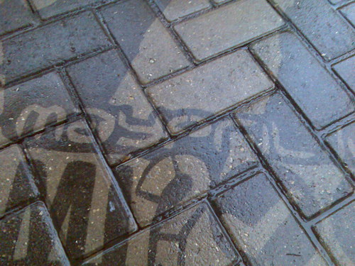 Maypril_lv's profile picture. Alternative Advertising