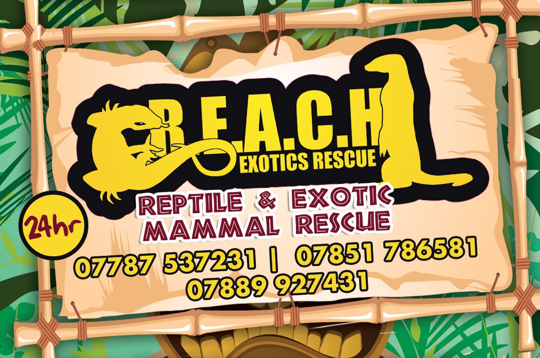 REACH Exotics Rescue rescues and rehomes any reptile, amphibian or exotic mammal. We are a non profit organisation relying on volunteers and donations.