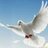 88_alicom's profile image