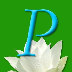 Domain registration, hosting, web designing and developing, SEO, SMO, SEM, PPC, Online Advertising.