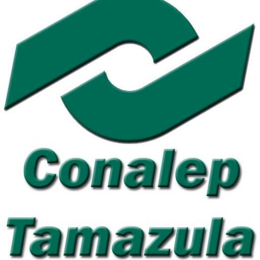 Servicios Escolares