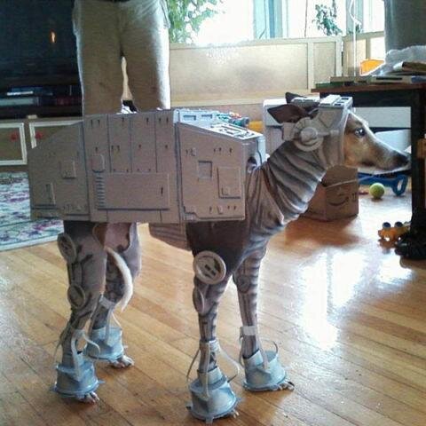 neilweiss3's profile picture. 