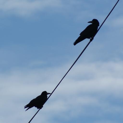 slinnian's profile picture. Avivd follower of local, national and international news. Enjoy following more than tweeting!