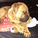 Kat Cunningham - @KatCWilson - Twitter