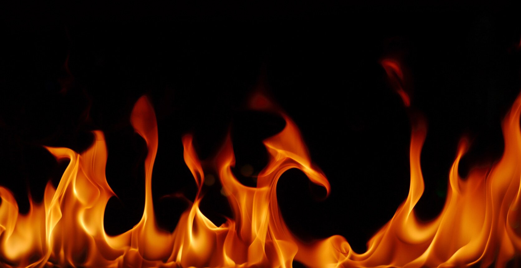 max21981361's profile picture. ha