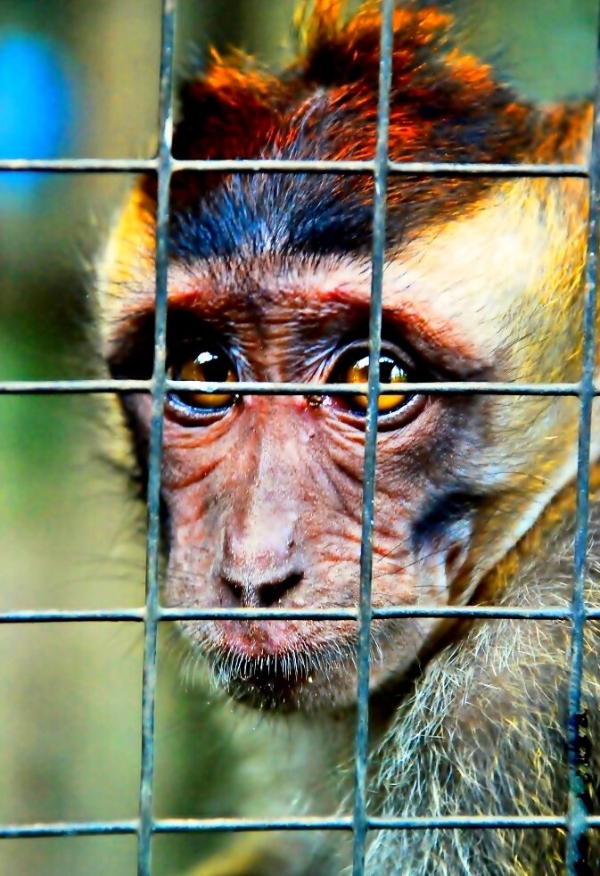 jonlee_pacia's profile picture. 