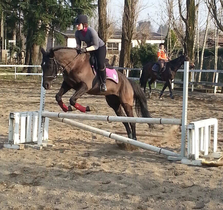 I love #horses and i'm a #horseaddict. @petali_preziosi is a corner for horseaddict and fashionaddict. http://t.co/qJi7MzqZKP