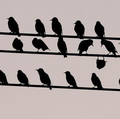 Otilia2B's profile picture. 