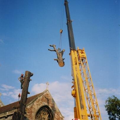 Tree surgery,site de-vegetation and machinery hire