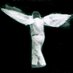 WAXWING Films/UNPINNABLE BUTTERFLIES Music (@wax_max) Twitter profile photo