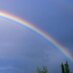 life with a rainbow (@meandmyrainbow) Twitter profile photo