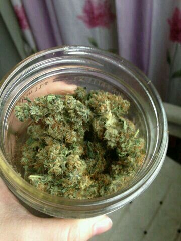 grow it. smoke it.