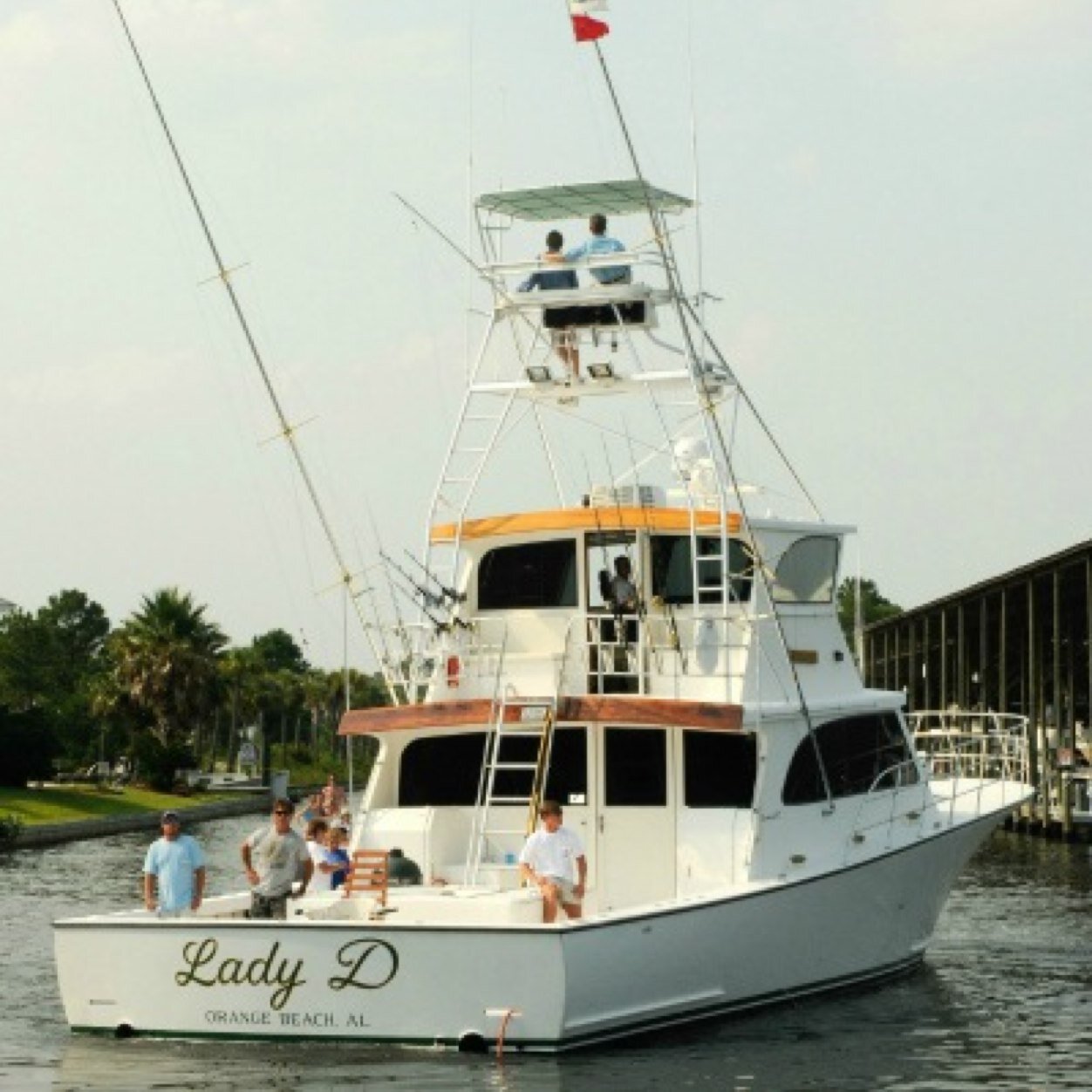 Lady D Charters. Orange Beach Marina, Orange Beach,AL. Port Eads, South Pass, LA. 251-747-1897. ladydcharters@gmail.com