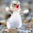 UDBirds's profile image