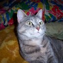 Mandy Ma - @Mandy_Ma_ - Twitter