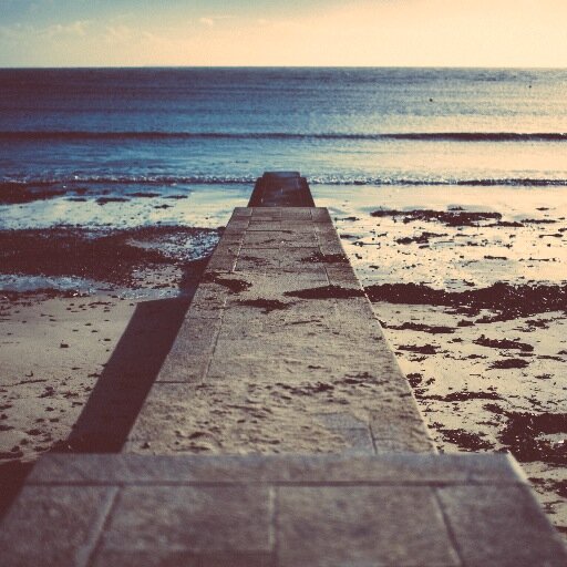 LoveLymeRegis's profile picture. #Lovelyme