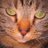 猫林虎之のアイコン