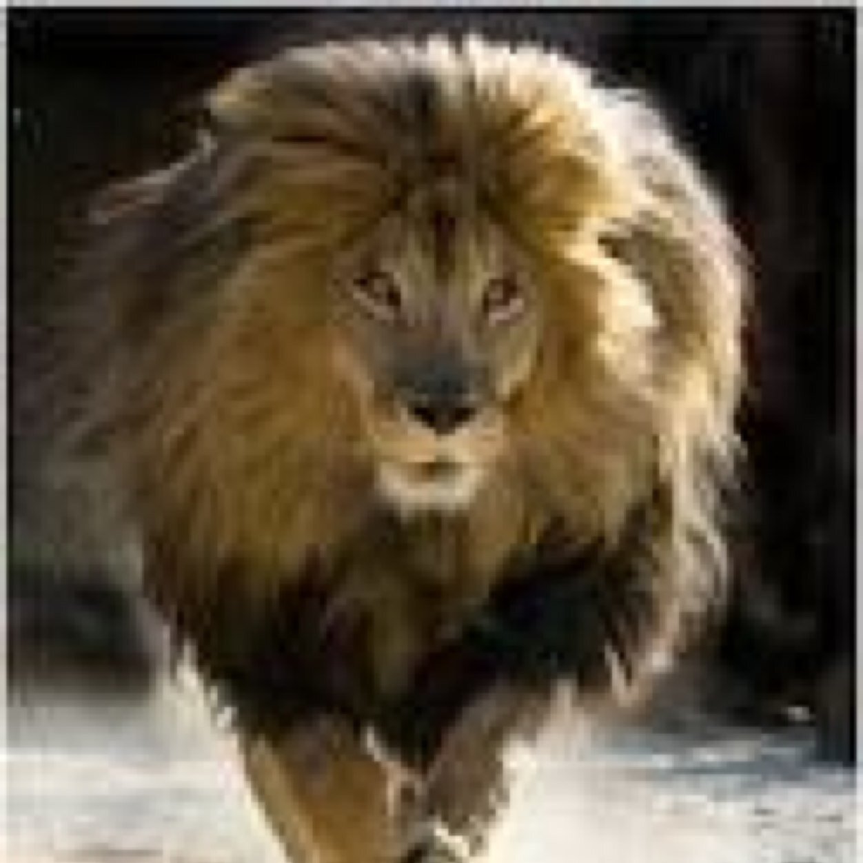 Abas2010Aoras's profile picture. 