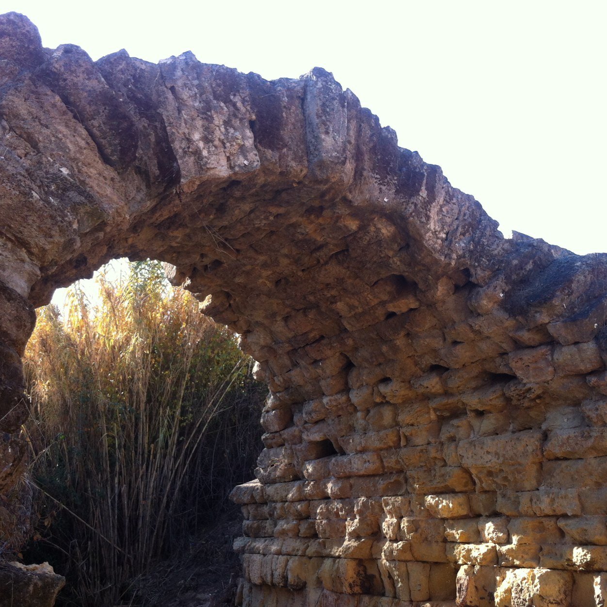 josespaan's profile picture. 