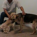 STEVEN EDWARD WALKER - @STEVENEDWARDWAL - Twitter