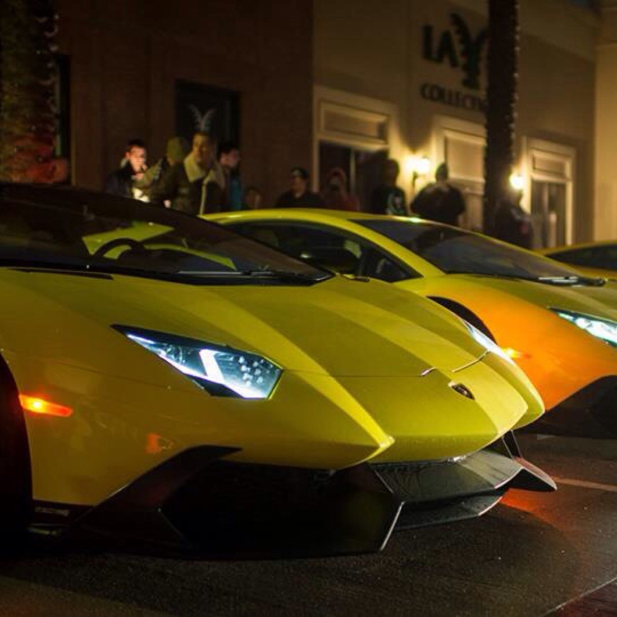 autos_exotic Profile Picture