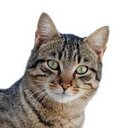 Dana White - @danawhite74 - Twitter