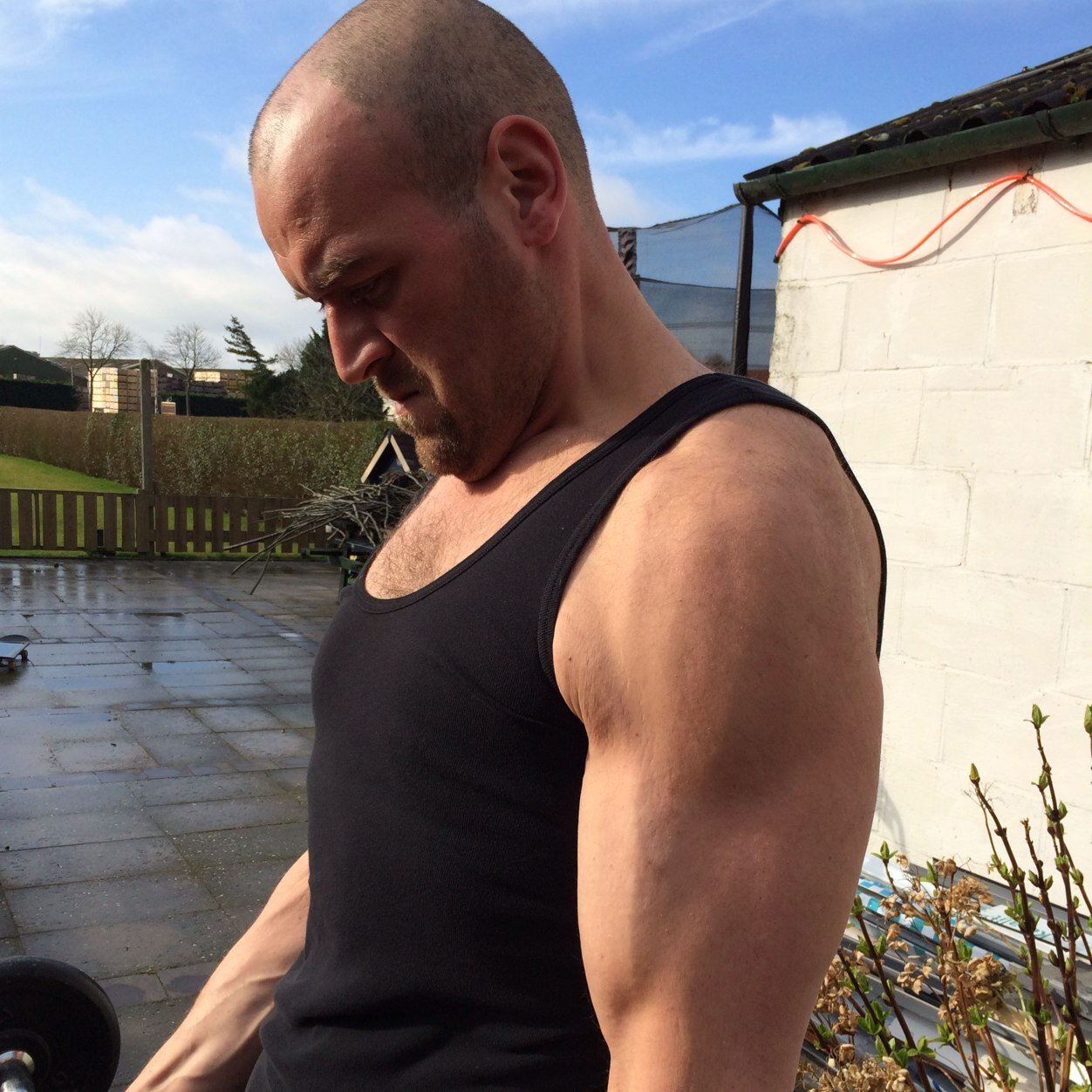 Dicksonzero's profile picture. 