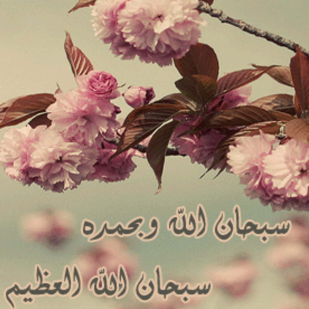 #اللهم إني استودعتك أخي فـ احفظه و إن رفع يداه لك داعي فقل لما دعا به كن فيكون يارب العالمين (سبحان الله وبحمده سبحان الله العظيم) [أدعية وأذكار]