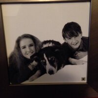 Treacey kelly (@shoosie12) 's Twitter Profile