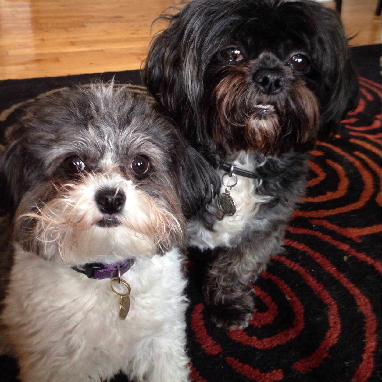 lafalot11's profile picture. 