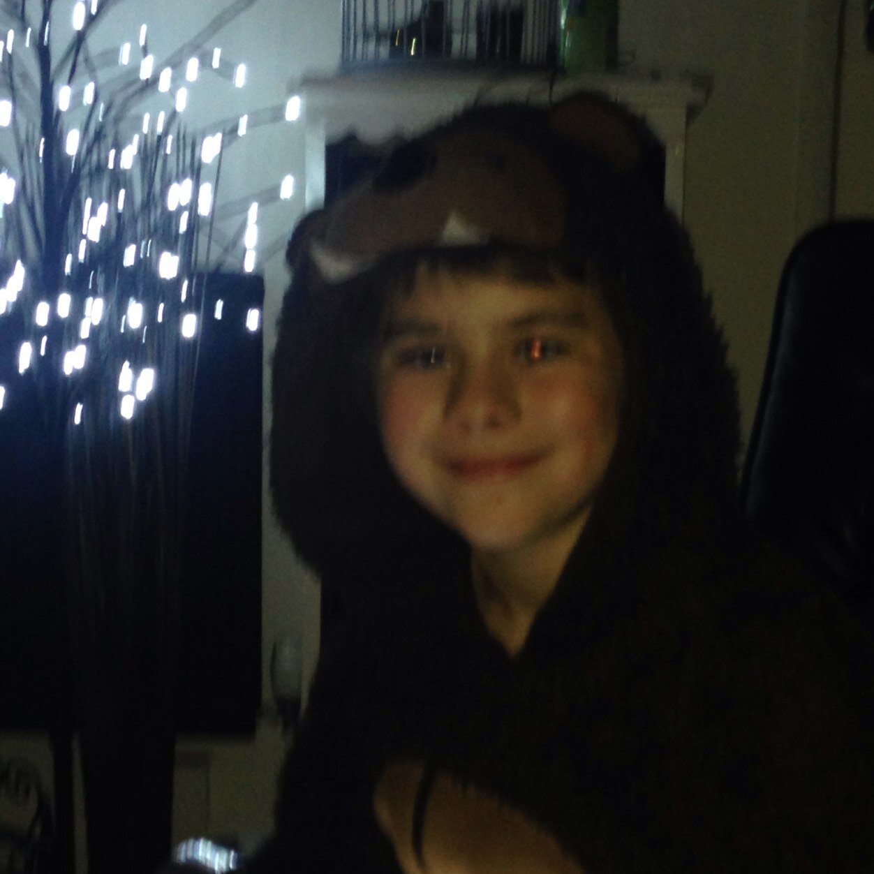 #teamfollowback#poundland#alibabbyduc#christmas#iceland#food#twitter#tillythedog#proudtobeme#twelve24#gAy
