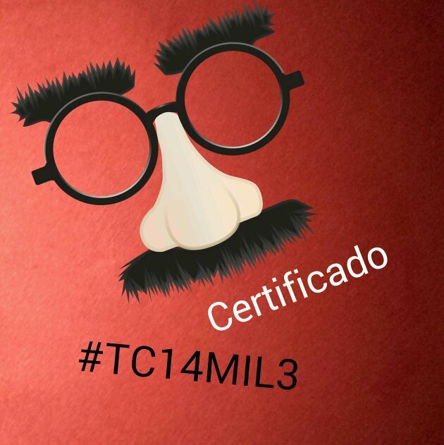 certificados de culos, categorias y premios, próximamente certification14mil3@gmail.com