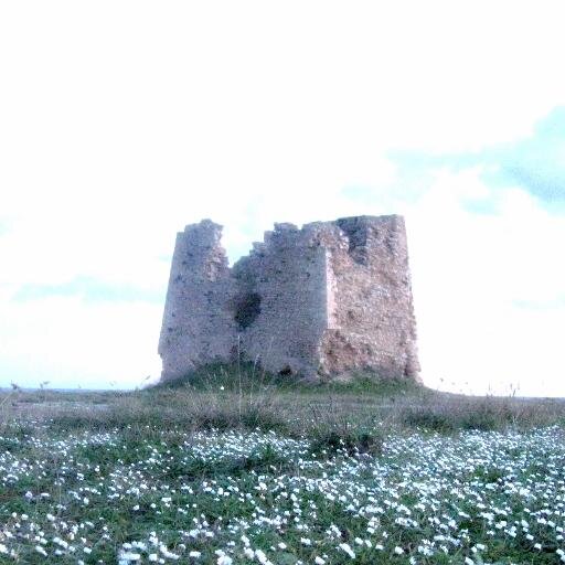 LidoTorretta's profile picture. Associazione No Profit interessata alla promozione sociale, culturale, turistica, storica, e alla valorizzazione della realtà e delle potenzialità della zona.