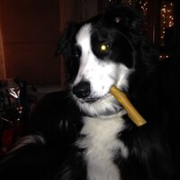 Tim H (@thahn090020) 's Twitter Profile Photo